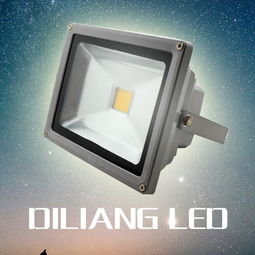 香山木簡約現代LED投光燈 20W/30W/50W戶外高桿燈選購指南